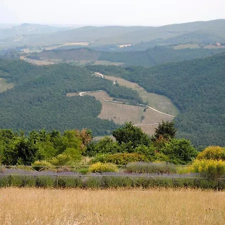Sleeps 21 Pool Wifi * Allerona